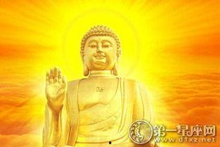 日本电影搞笑勇者佛祖,搞笑勇者佛祖的奇幻之旅